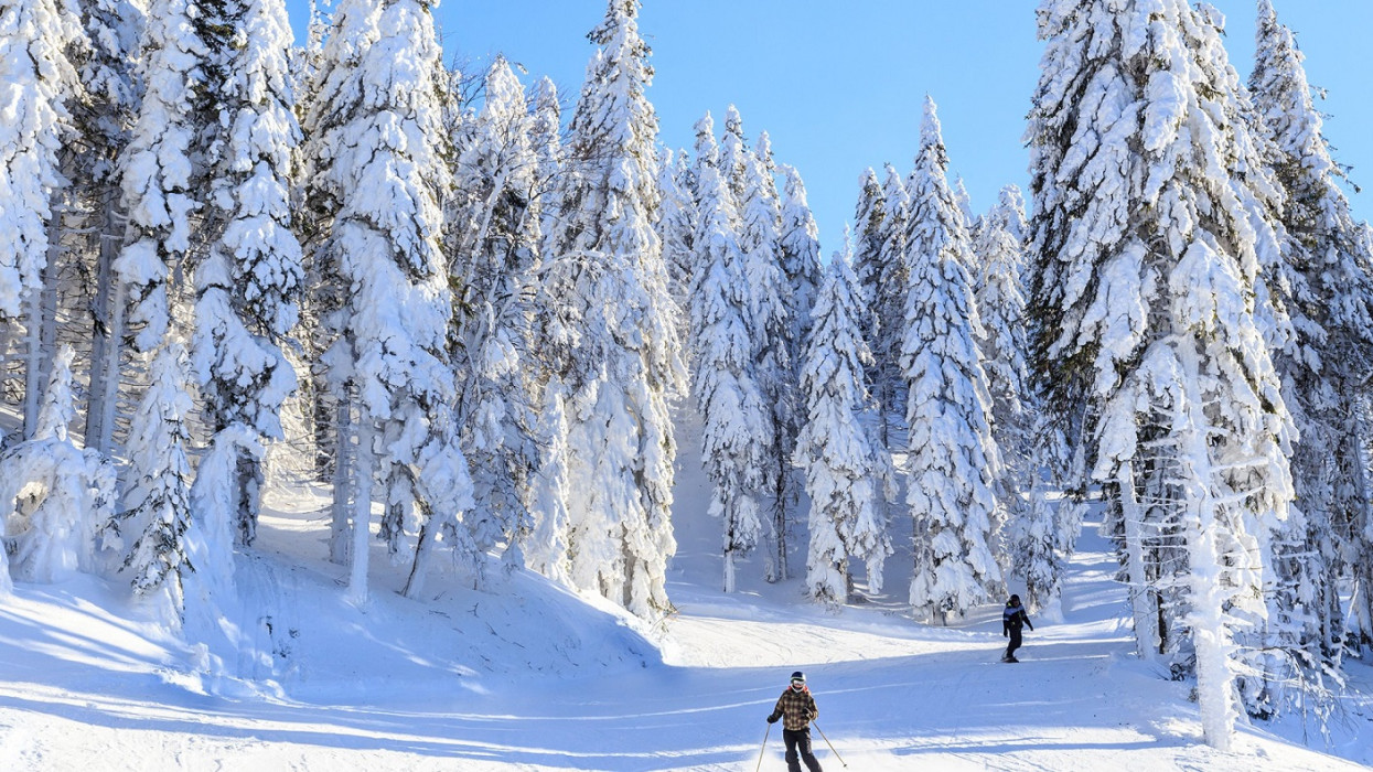 Ksiązka Defendu WK1 Narciarstwo biegowe Poland