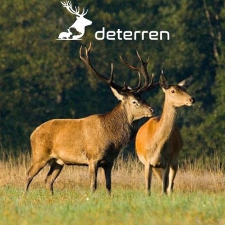 Odstraszacz na dziki, sarny, jelenie, bobry, zające