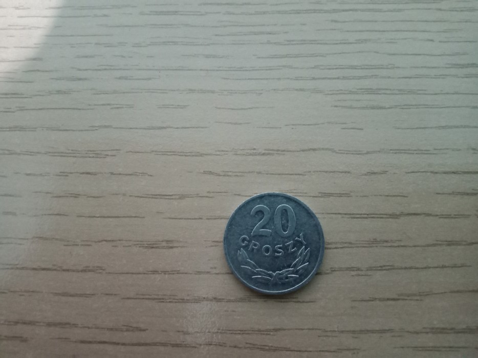 Moneta PRL 20 groszy 1981